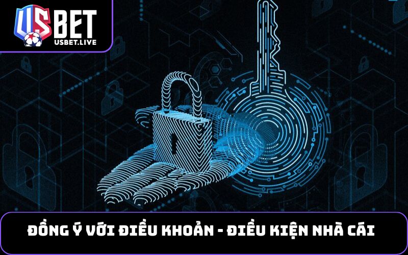 Đồng ý với điều khoản - điều kiện nhà cái