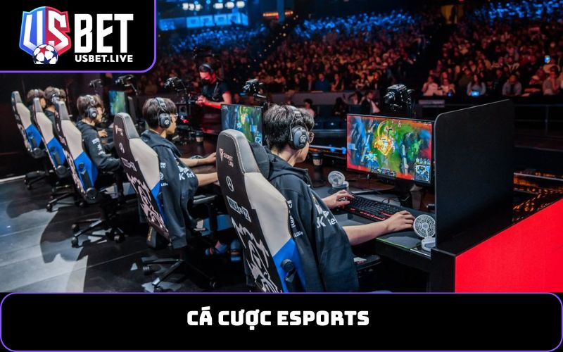 Cá cược Esports
