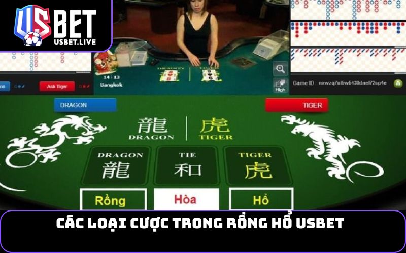 Các loại cược trong Rồng Hổ USBET
